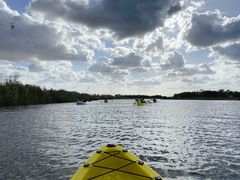 -春花秋色城市公园