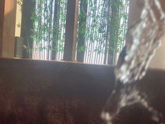 -嘉佑温泉水世界