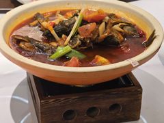 -椿记烧鹅(叠彩店)