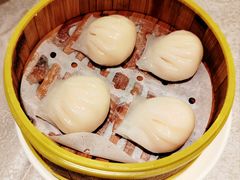 虾饺皇-新南华大酒店(广中店)