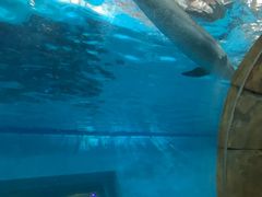 -波塞冬旅游度假区