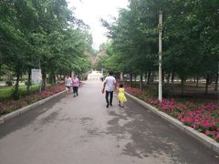 -长白岛森林公园