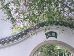 -深圳国际园林花卉博览园