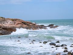 -广东惠东海龟国家级自然保护区