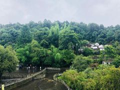 -墨尔本皇家植物园