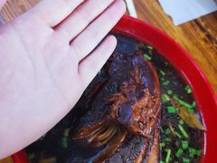 -小龙大肉面馆