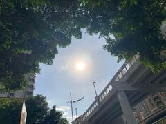 -探窝·竹笙椰子鸡(杨箕店)