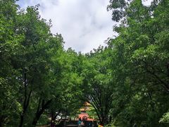 -沈阳市东陵公园