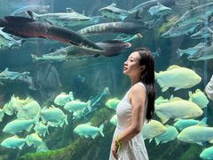 -波塞冬旅游度假区