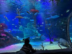 -沈阳海洋探索中心