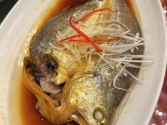 -上海新锦江大酒店