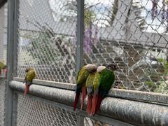 -正佳雨林生态植物园