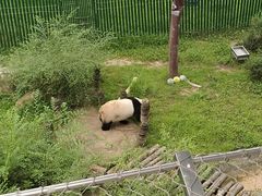 -沈阳森林动物园
