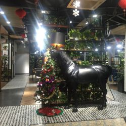 -UPTOP鼎上造型