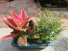 -馨园villa融合菜(东山店)