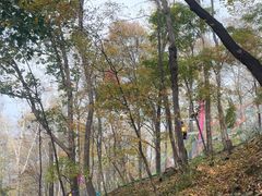 -帽儿山风景区