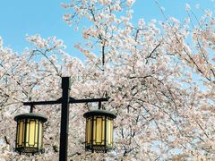 -苏州上方山国家森林公园