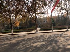 -山东理工大学