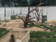 -武汉紫薇都市田园