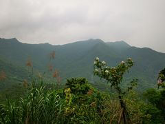 -梧桐山风景名胜区