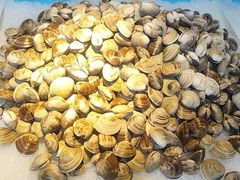 -圣罗巴海鲜烤肉自助(佳兆业店)