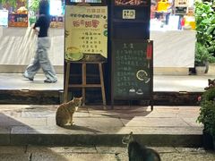 -鸣鹤古镇