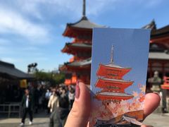 -有栖山 清光院 清水寺