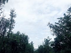 -白鹭湾湿地公园