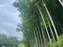 -南北湖风景区