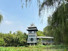 -金鸡湖桃花岛
