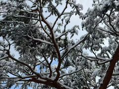 -景福宫