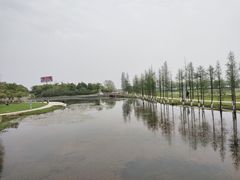 -艾溪湖湿地公园