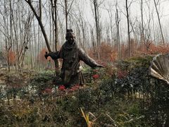 -合肥滨湖国家森林公园