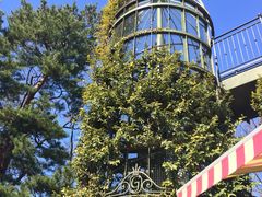 -三鹰之森吉卜力美术馆