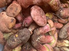 -野菌园·野生菌火锅首创第一家(关兴路总店)