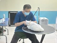 -天宠宠物医院24小时·急重症诊疗中心·全科·腔镜特色(和平分院)