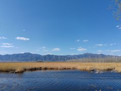 -野鸭湖国家湿地公园