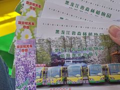-黑龙江省森林植物园