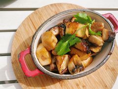 新鲜炒蘑菇-the rug 飞毯 (朝阳公园店)