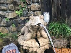 -宁海森林温泉