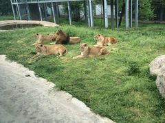 -西安秦岭野生动物园