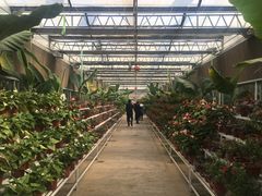 -陆地游轮吉林神农温泉