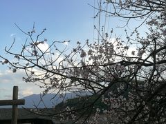 -摩梭传统篝火晚会