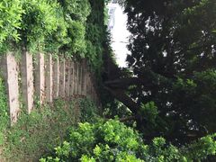 悦华酒店-厦门悦华酒店
