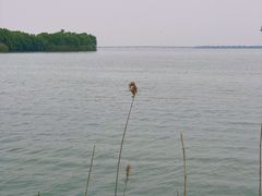 -漕湖湿地公园