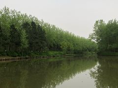 -合肥滨湖国家森林公园