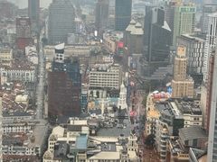 -上海新世界丽笙大酒店旋景餐厅(人民广场店)