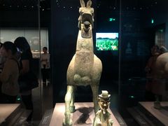 -广西壮族自治区博物馆