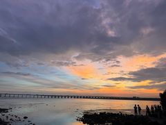 -宝安西湾红树林湿地公园