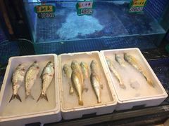 -梅林春晓花园餐厅
